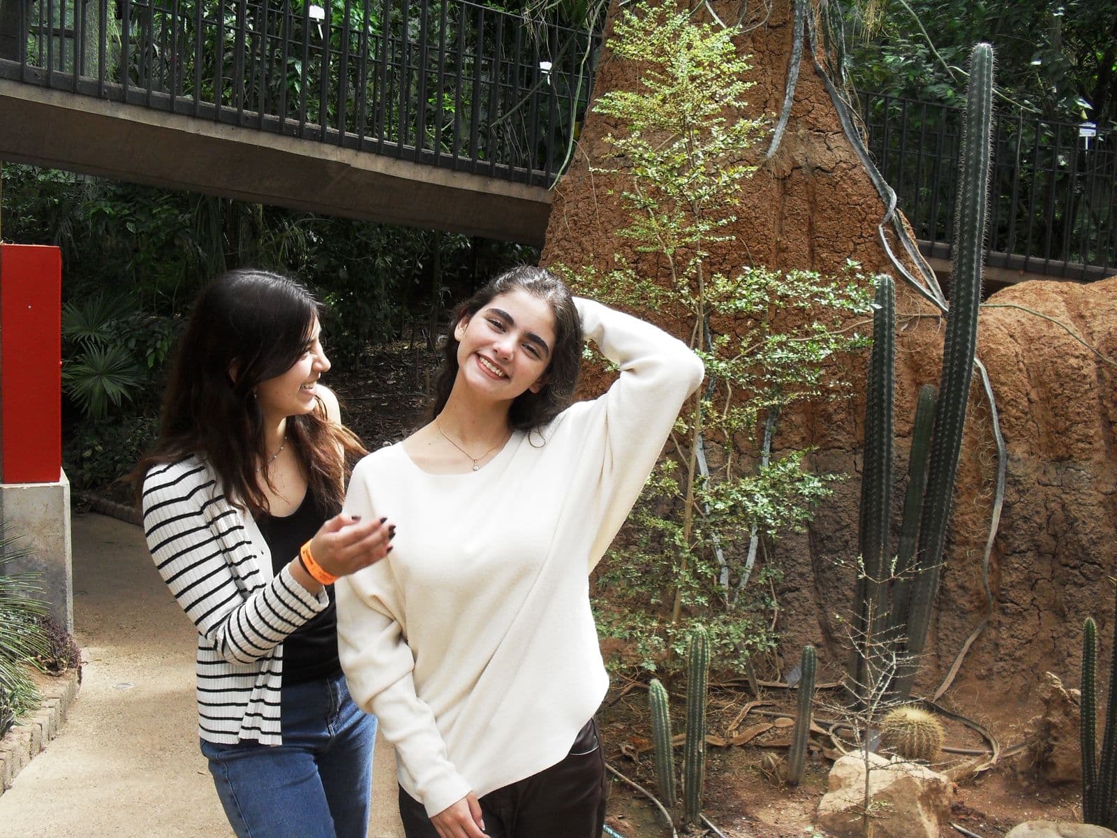 Bienestar y salud mental